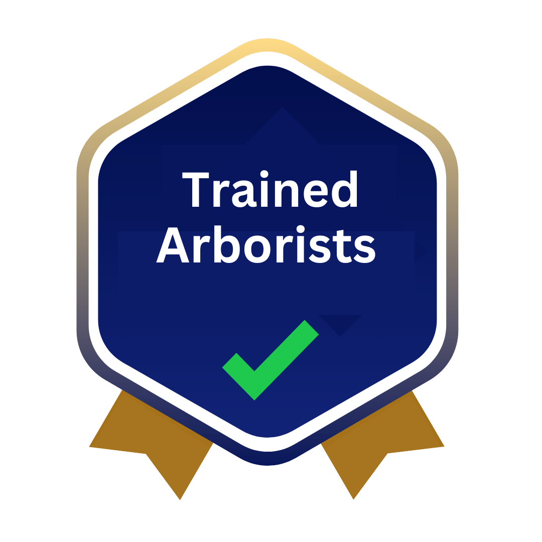 Trained Arborists